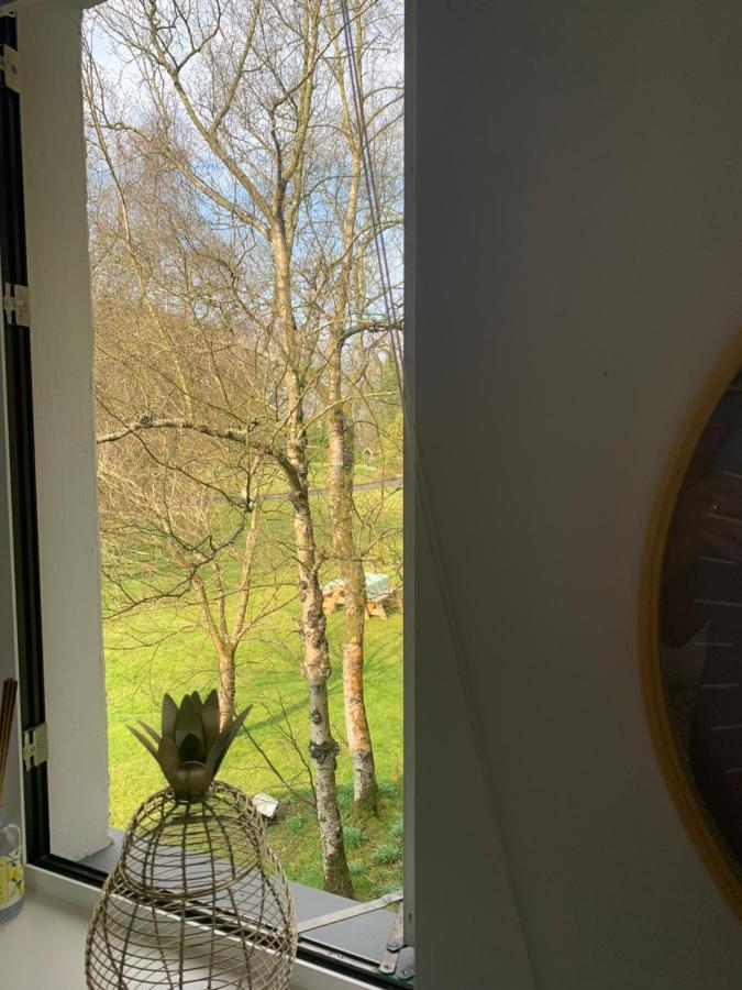 Treetops Coleraine Exterior foto